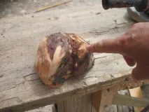 майсторски майсторски