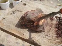 майсторски клас