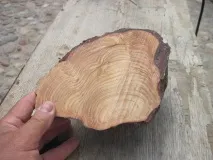 майсторски клас