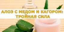 АЛОЕ З МЕДОМ І КАГОРОМ ТРІЙНА СИЛА, Корисні поради медом
