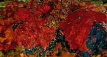 Акварель чи масло Як зробити вибір, Олександр Григор’єв-Саврасов масло