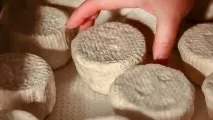 научили фермери