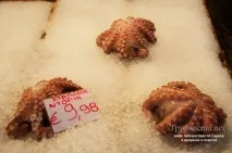 собствените атина