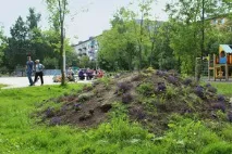Ганна Райчева за права мешканців у Ленрадівському - Міський калейдоскоп права