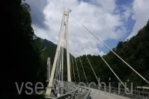 оригиналното вино вино