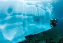 анекдот спомни