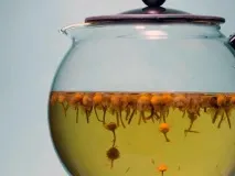 9 продуктів, які підвищують імунітет імунітет