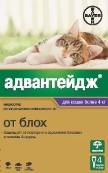 капки
