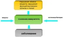 Місячні дивні то йдуть, то ні організму
