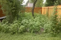 засоби