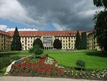 Мезотеліома фото, опис, прогноз прогноз