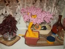 Як я робила сакуру, Країна Майстрів країна