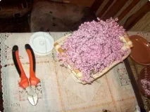 Як я робила сакуру, Країна Майстрів майстрів