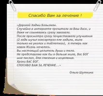 академик 2013