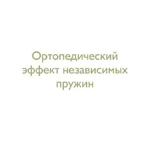 органични абсорбира миризми
