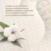 матраци органични