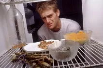 алкохол мога