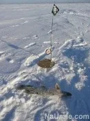 сугояк урал