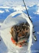 езерото сугояк