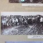 Миколаївський завод завод