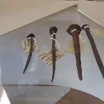 Миколаївський завод року