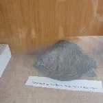 Миколаївський завод Миколаївський завод