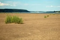 отида автобус нечкински