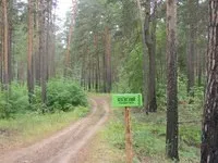 нечкински пътя летището