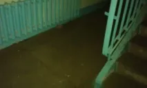 новини новини