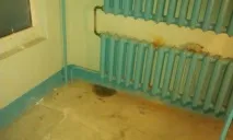 новини народни