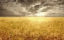 Народні свята та традиції серпня народні