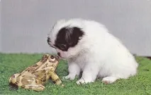 японського