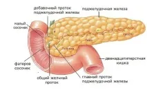 ултразвук ултразвук