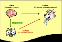 НЛП Поліпшення життя, CleverMindRu поліпшення