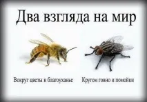 НЛП Поліпшення життя, CleverMindRu життя