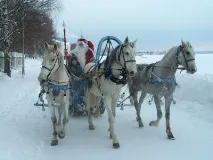 Новорічні обряди для дива новорічні