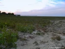 цимлянського