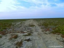 вода