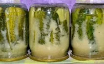 краставици