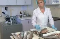 Чи небезпечно для України фукусімське забруднення, Стаття, Україна, Екодело - екологічні забруднення