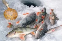 Основні способи проведення блешні проведення