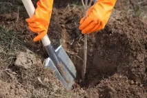 балкон зеленчукова