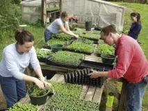 Органічне фермерське господарство в Білорусі як розпочати та залишитися з прибутком органічне