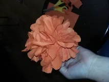 дерева