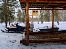 асоциация професионалните