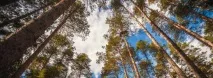 проекта Ярославско крайбрежие