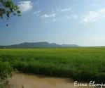 Відкриваємо заново рис - Німеччина - Рецепти заново