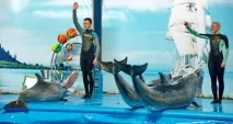 Відпочинок школяра 7 ідей для веснянихканікул-2017, жіночий портал Comode відпочинок