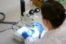анализа включено