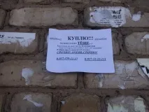 Про тещу навіть
